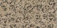 Rosa Coco Granite Image