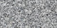 San Marcos Blanco Granite Image