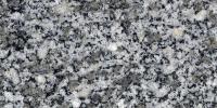 Cinza Prata Granite Image