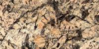 Golden Persa Granite Image