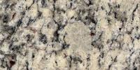 Samoa White Granite Image