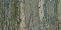 Verde Coto Granite Image