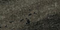 Verde Fenix Granite Image