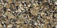 Abyss Green Granite Image