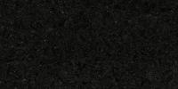 Cambrian Black Granite Image
