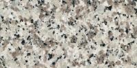 Big White Flower Granite Image