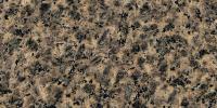 Leopard Skin Granite Image