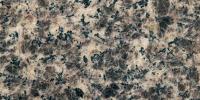 Leopard Skin Light Granite Image