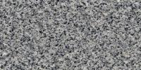 Grey Dark Aswan Granite Image