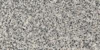 Grigio Torgoma Granite Image