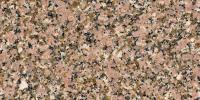 Rosa El Hoody Granite Image