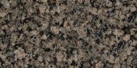 Forest Pearl Grey Granite Image