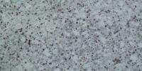 Chiffon White Granite Image