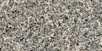 Salpe Granite Image