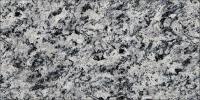 Serizzo Granite Image
