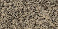 Paarl Grey Granite Image