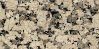 Conquistador Beige Granite Image