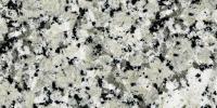 Gris Perla Granite Image