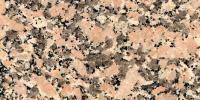 Rosa Dante Granite Image
