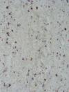 Amba White Granite Image