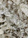 Bianco Antico Granite Image
