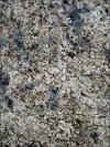 Blue Flower Granite Image