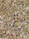 Butterfly Beige Granite Image