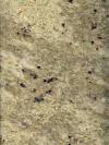 Colonial Pearl Granite Image