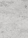 Colonial White Granite Image
