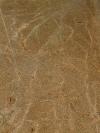 Giallo Duna Granite Image