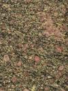 Green Rose Granite Image