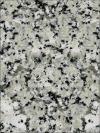 Gris Perla Granite Image