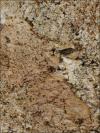 Juparana Montiel Granite Image