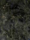 Labrador Green Granite Image