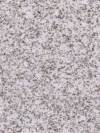 Pearl White Granite Image