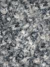 Serizzo Scuro Valmasino Granite Image