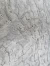 Thunder White Granite Image