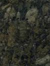 Verde Veneziano Granite Image